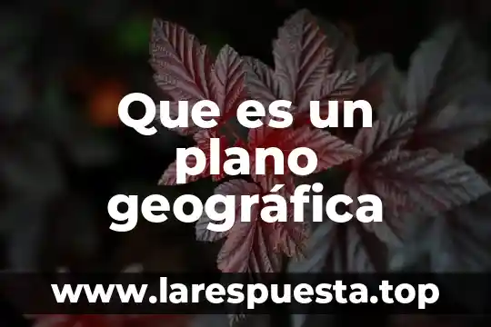 Que es el plano proyectivo 5 Que es un plano geográfica