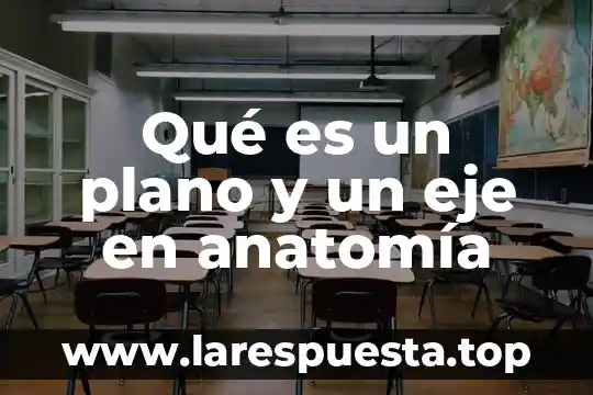 Qué es un plano y un eje en anatomía