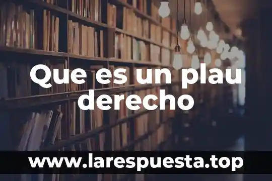 Que es un plau derecho