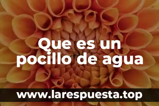 Que es un pocillo de agua