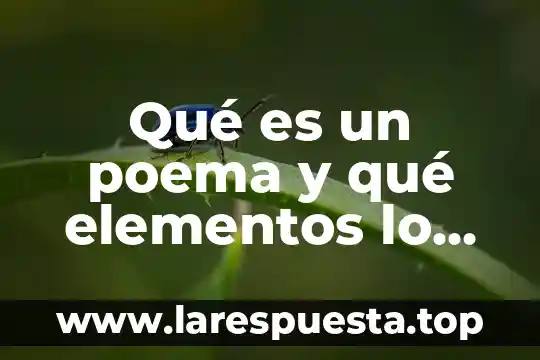 Que es poema libros de texto 8 Qu茅 es un poema y qu茅 elementos lo componen