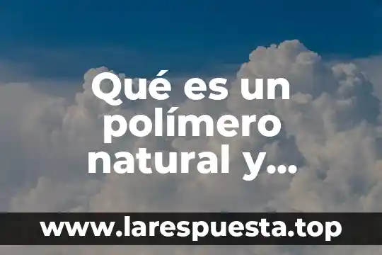 Que es natural y sintético 8 Qué es un polímero natural y sintético