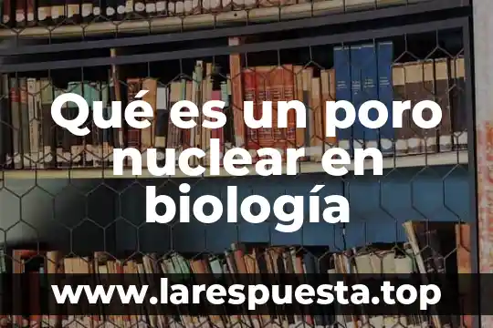 Qué es un poro nuclear en biología
