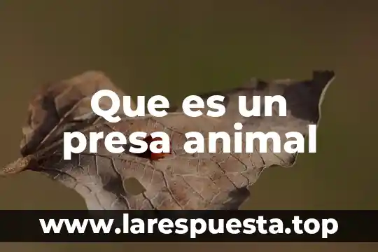 Que es un presa animal