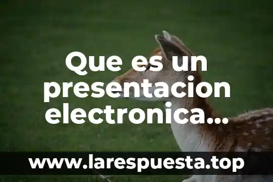 Que es un presentacion electronica significado