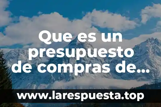 Que es gestion de primas en deposito 4 Que es un presupuesto de compras de materias primas