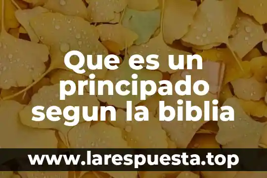 Biblia que es el hades 6 Que es un principado segun la biblia