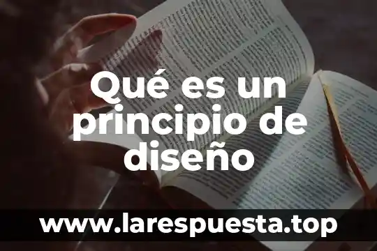 Qué es un principio de diseño