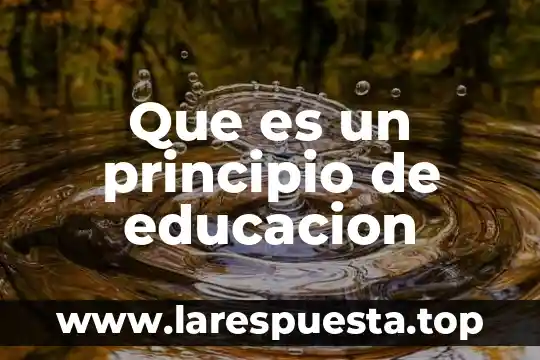 Que es un principio de educacion