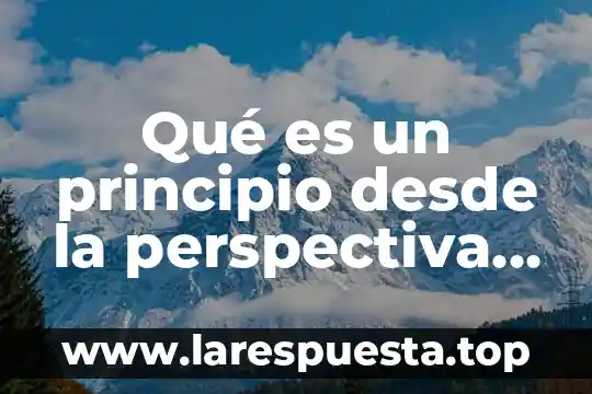 Qué es un principio desde la perspectiva del derecho