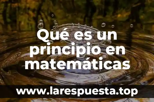 Qué es un principio en matemáticas