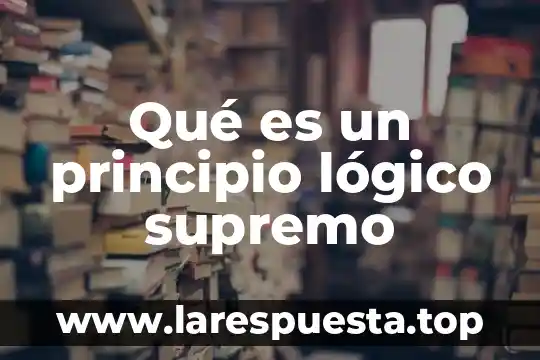 Qué es un principio lógico supremo
