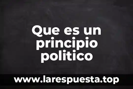 Que es un principio politico