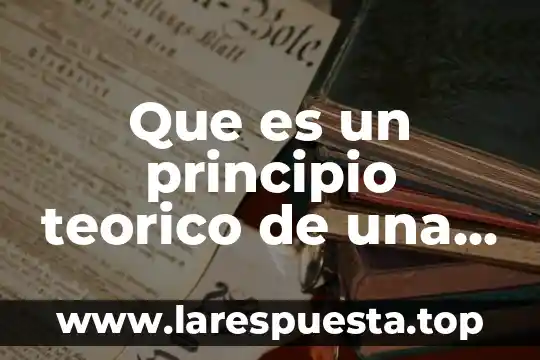 Que es calidad en el servicio 6 Que es un principio teorico de una metodologia en calidad