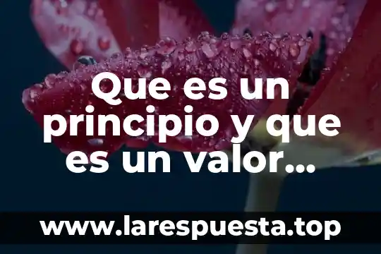 Que es un principio y que es un valor nivel