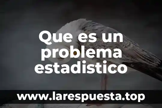 Que es un problema estadistico