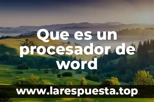 Que es un procesador de word