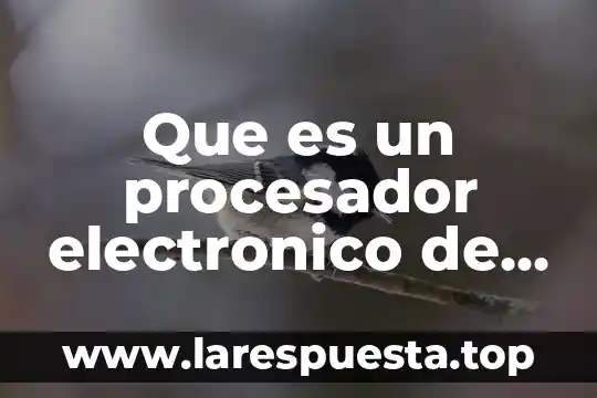 Que es el comercio electronico en facebook 7 Que es un procesador electronico de textos tipos