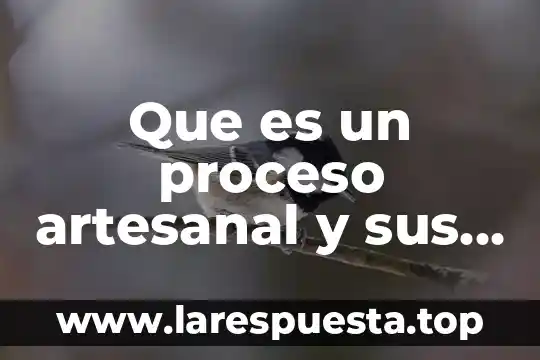 Que es un proyecto tipos y etapas 3 Que es un proceso artesanal y sus etapas