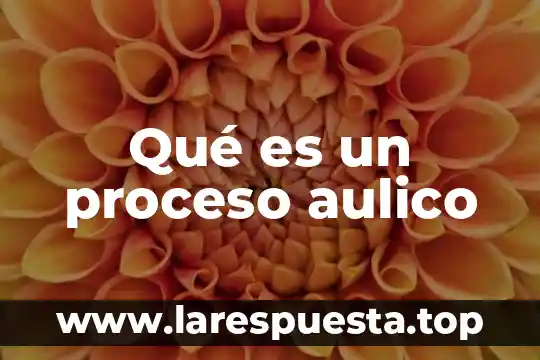Que es un proceso alterno de reorganizacion 7 Qué es un proceso aulico