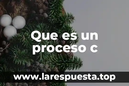 Que es ensamblado en c 6 Que es un proceso c