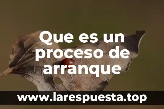 Que es una guia para un proceso 3 Que es un proceso de arranque