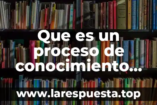 Que es picadita en argentina en mexico 4 Que es un proceso de conocimiento argentina