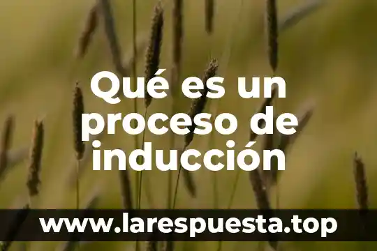 Que es una guia para un proceso 4 Qué es un proceso de inducción