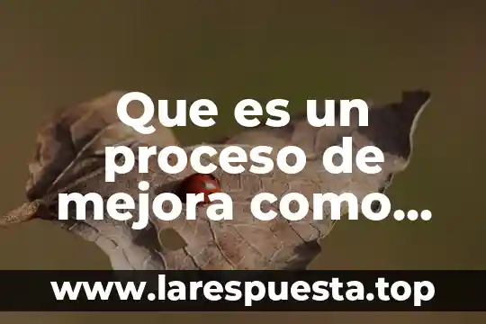Que es un proceso de mejora como persona