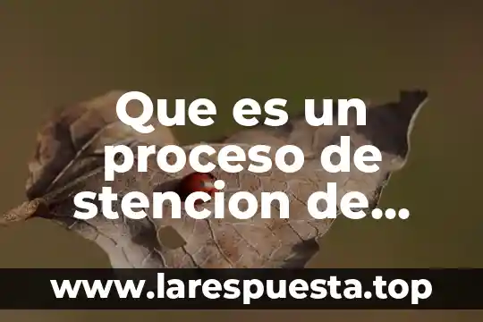 Que es un proceso alterno de reorganizacion 8 Que es un proceso de stencion de enfermeria