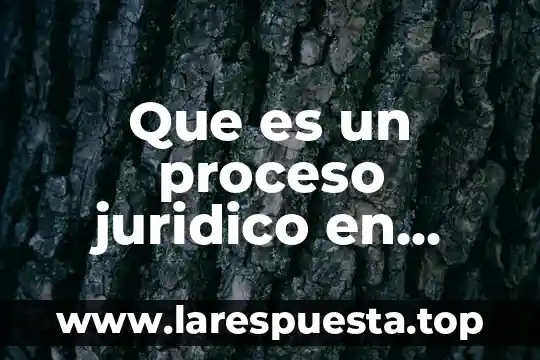 Que es un proceso juridico en libertqad