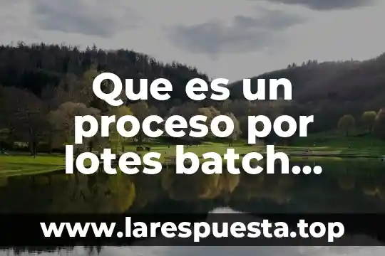 Que es el proceso de motivacion 4 Que es un proceso por lotes batch processing