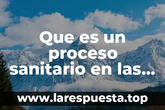 Que es el registro sanitario de medicamentos 6 Que es un proceso sanitario en las empresas