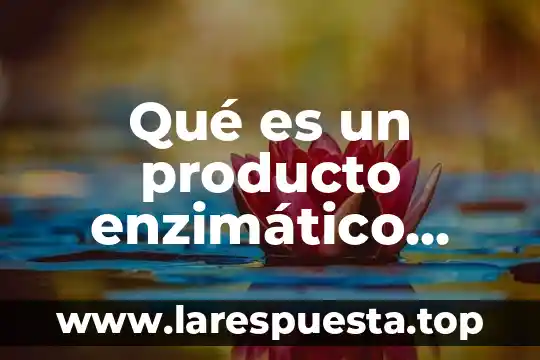 Qué es un producto enzimático para enfermería