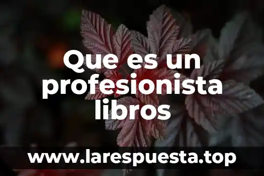 Que es rebozo en libros 6 Que es un profesionista libros