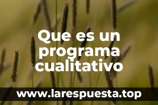 Que es el analisis cualitativo de pronosticos 3 Que es un programa cualitativo