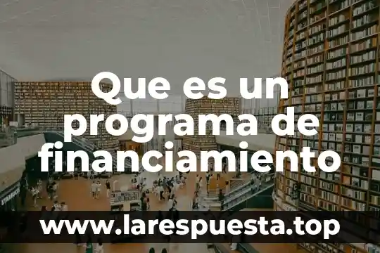 Que es el programa de ingesta 3 Que es un programa de financiamiento