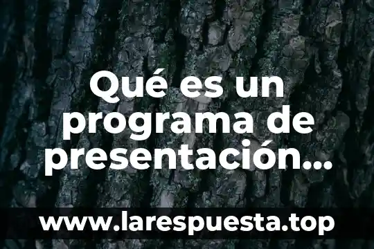 Que es el programa de ingesta 5 Qué es un programa de presentación digital