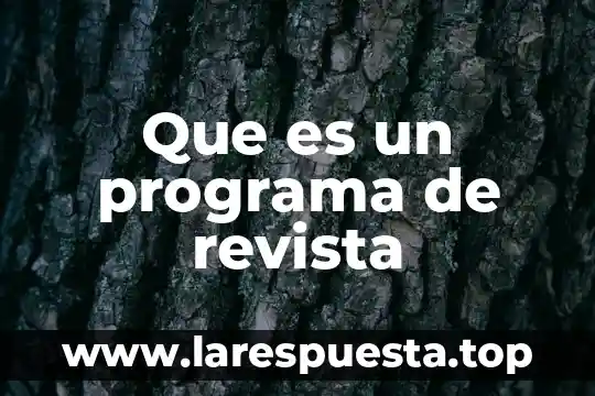 Que es el indice de registro de una revista 3 Que es un programa de revista