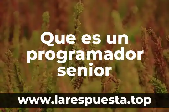 Que es ser un programador en android 5 Que es un programador senior