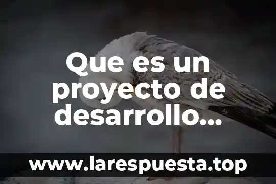 Que es un proyecto de desarrollo educativo upn
