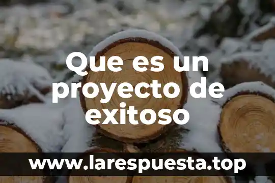 Que es un proyecto de exitoso