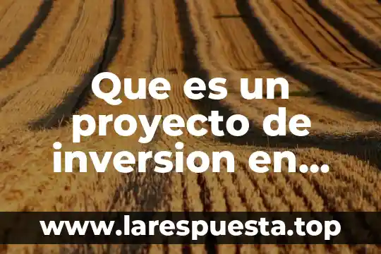Que es la diversidad de cultura de mexico 7 Que es un proyecto de inversion en mexico
