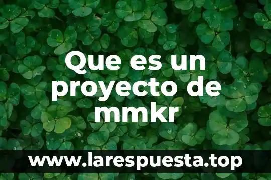 Que es un proyecto de mmkr