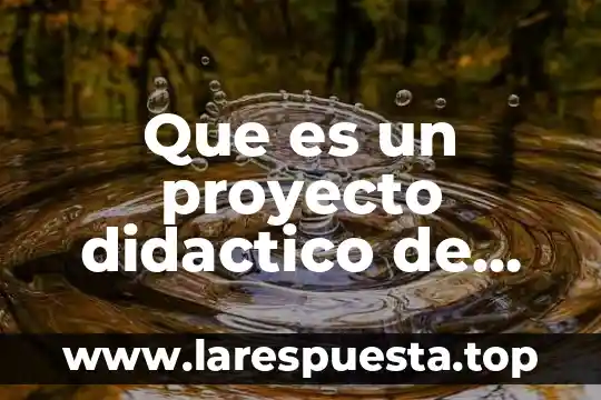 Que es el proyecto lazaro 8 Que es un proyecto didactico de vinculacion