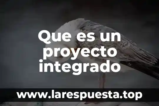 Que es un proyecto integrado