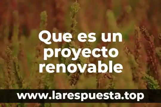 Qué es comida o renovable 4 Que es un proyecto renovable