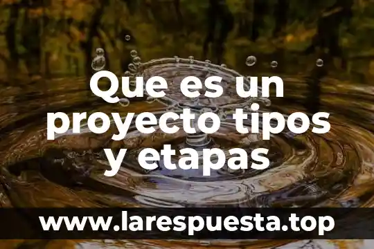 Que es un proceso artesanal y sus etapas 8 Que es un proyecto tipos y etapas