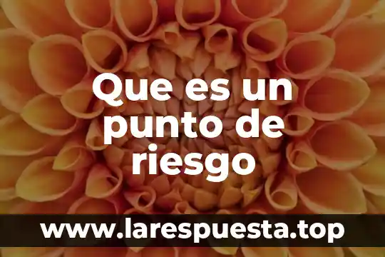 Que es un riesgo mecanico segun autores 8 Que es un punto de riesgo