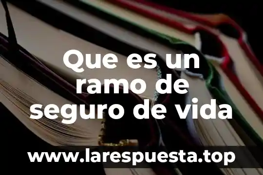 Que es un ramo de seguro de vida